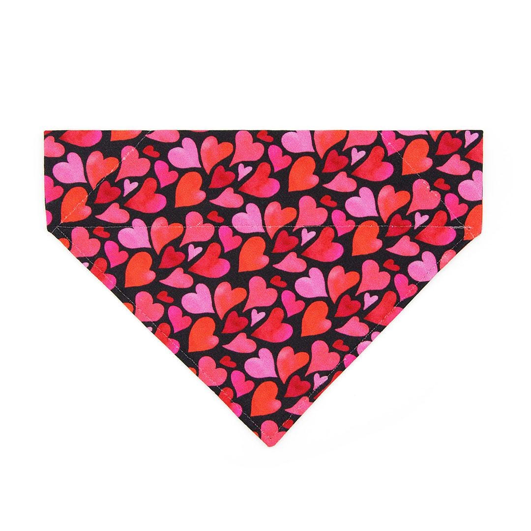 Heart Cat Bandana - "Crush" - Modern Valentine's Day Bandana for Cat + Small Dog / Red & Pink Hearts on Black / Slide-on Bandana