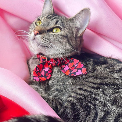 Heart Cat Collar - "Crush" - Modern Red & Pink Cat Collar / Valentine's Day / Breakaway Buckle or Non-Breakaway / Cat, Kitten + Small Dog Sizes