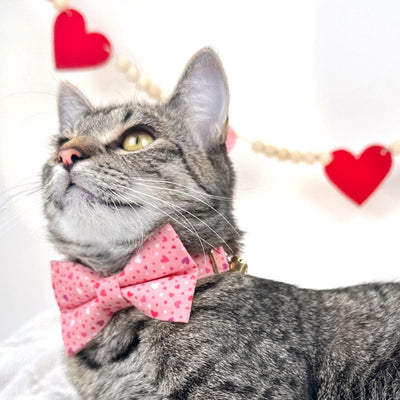 Heart Cat Collar - "Cupid Confetti" - Pink Cat Collar / Valentine's Day / Breakaway Buckle or Non-Breakaway / Cat, Kitten + Small Dog Sizes