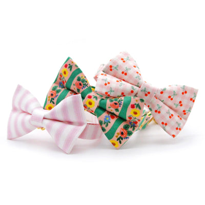Rifle Paper Co® Cat Collar - "Arbor Rose" - Pink & Green Floral Cat Collar / Spring, Summer, Garden Lover / Breakaway Buckle or Non-Breakaway / Cat, Kitten + Small Dog Sizes