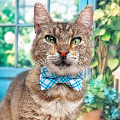 Blue Bow Tie Cat Collar Set - "Skylight" - Blue Check Plaid Cat Collar with Bow Tie / Spring, Summer, Nautical, Coastal / Cat, Kitten, Small Dog Sizes