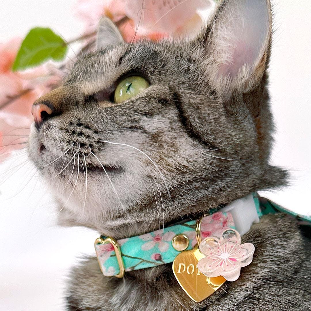 Cherry Blossom Bow Tie Cat Collar Set - "Cherry Blossoms" - Spring Floral Cat Collar with Bow Tie / Mint Turquoise, Japanese / Cat, Kitten, Small Dog Sizes