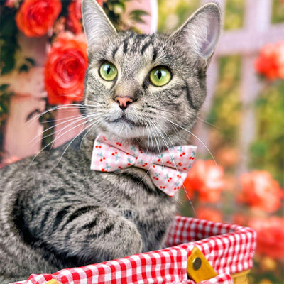 Cherry Cat Bow Tie - "Cherry Jubilee" - Pink Gingham Cherries Bow Tie for Cat Collar / Fruit, Spring + Summer / Cat, Kitten + Small Dog Bowtie