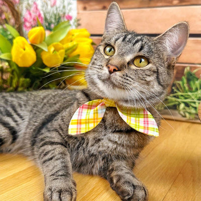 Spring Plaid Cat Collar - "Spring Basket" - Yellow Pastel Plaid Cat Collar / Easter, Summer / Breakaway Buckle or Non-Breakaway / Cat, Kitten + Small Dog Sizes
