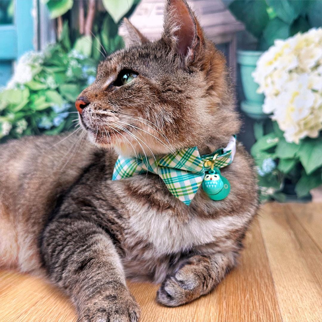 Plaid Cat Collar - "Gable Plaid" - Teal & Green Plaid Cat Collar / Spring, Summer / Breakaway Buckle or Non-Breakaway / Cat, Kitten + Small Dog Sizes