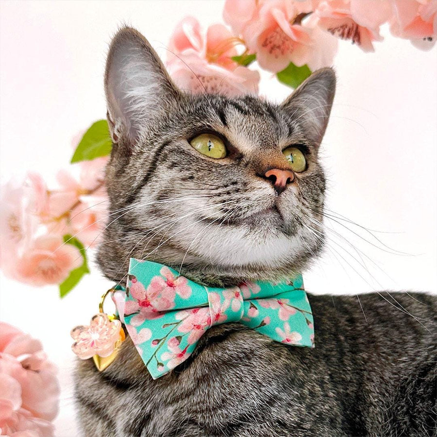 Cherry Blossom Bow Tie Cat Collar Set - "Cherry Blossoms" - Spring Floral Cat Collar with Bow Tie / Mint Turquoise, Japanese / Cat, Kitten, Small Dog Sizes