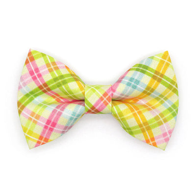 Spring Plaid Cat Bow Tie - "Spring Basket" - Yellow Pastel Plaid Bow Tie for Cat Collar / Easter, Summer / Cat, Kitten + Small Dog Bowtie