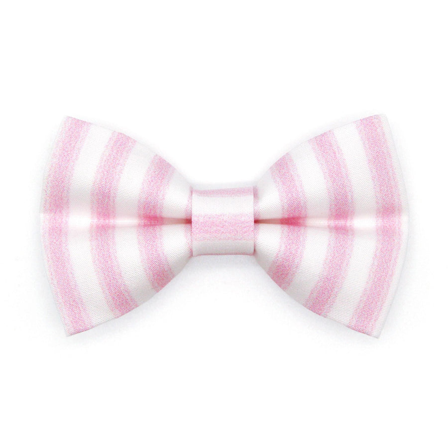 Striped Cat Bow Tie - "Veranda - Pink" - Pastel Pink Stripe Bow Tie for Cat Collar / Spring, Summer, Derby, Wedding / Cat, Kitten + Small Dog Bowtie