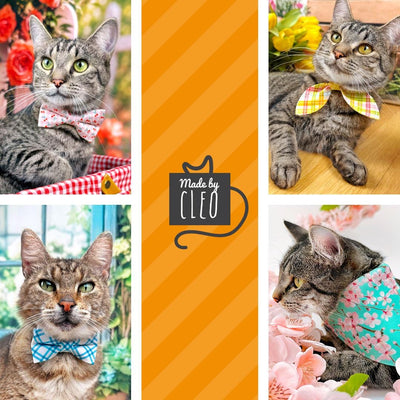 Polka Dot Cat Bandana - "Biscotti" - Cream Retro Polka Dot Bandana for Cat + Small Dog / Black & Ivory White, Wedding / Slide-on Bandana