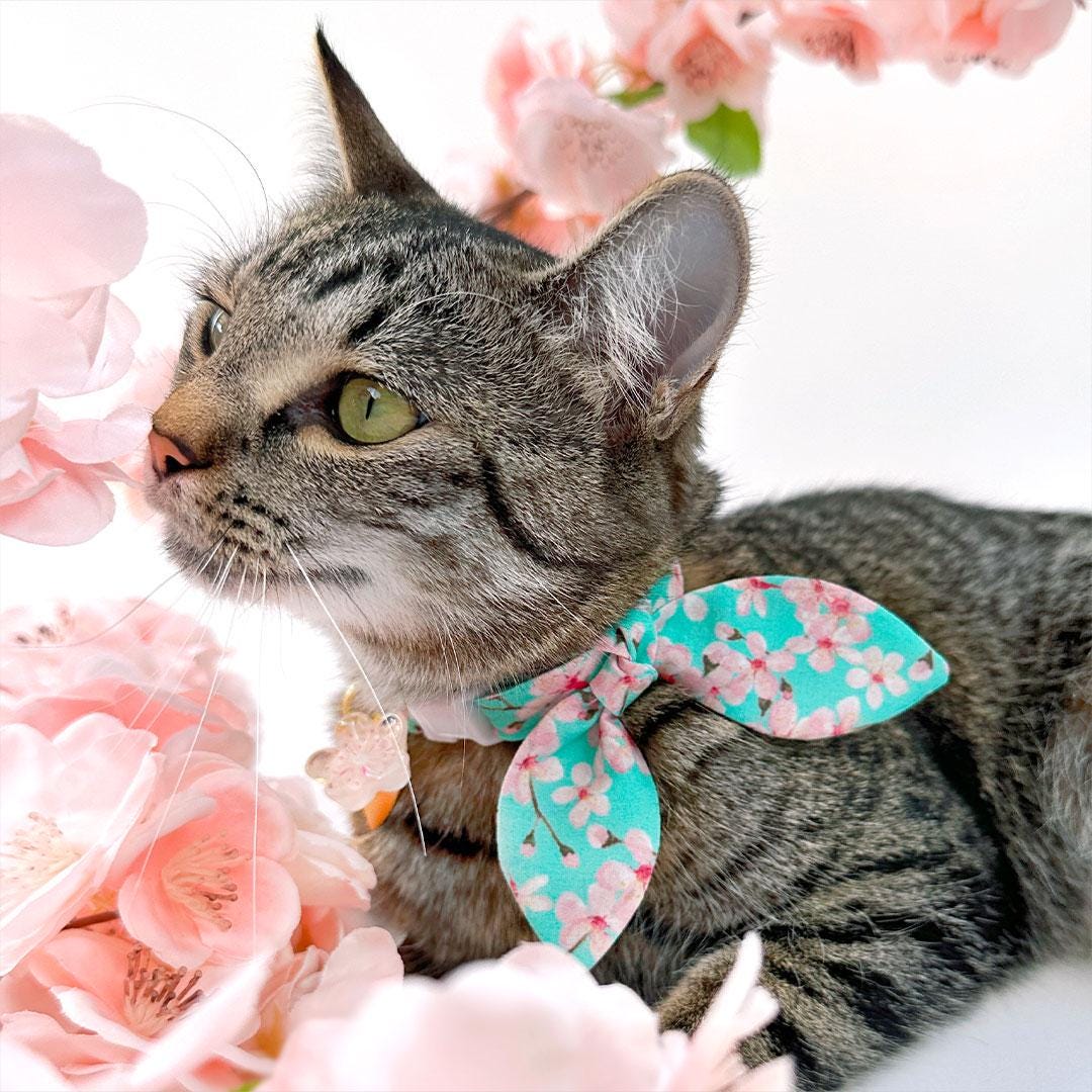 Cat Collar and Bunny Ear Bow Set - "Cherry Blossoms" - Mint Spring Floral Cat Collar w/ Matching Bunny Bow Tie / Spring, Japanese / Tie-On Scarf / Cat, Kitten + Small Dog Sizes