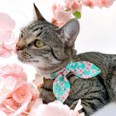 Cat Collar and Bunny Ear Bow Set - "Cherry Blossoms" - Mint Spring Floral Cat Collar w/ Matching Bunny Bow Tie / Spring, Japanese / Tie-On Scarf / Cat, Kitten + Small Dog Sizes