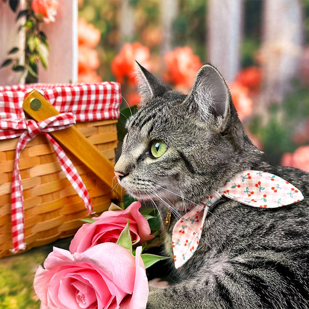 Cherry Cat Collar - "Cherry Jubilee" - Pink Gingham Cherries Cat Collar / Fruit, Spring, Summer / Breakaway Buckle or Non-Breakaway / Cat, Kitten + Small Dog Sizes