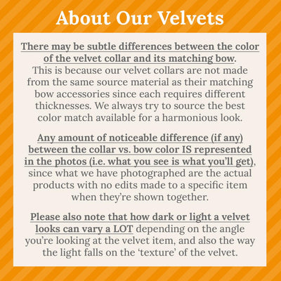 Cat Collar & Bunny Ear Bow Set - "Velvet - Midnight Blue" - Dark Navy Blue Velvet Cat Collar w/ Matching Bunny Bow Tie / Wedding, Birthday / Cat, Kitten + Small Dog Sizes