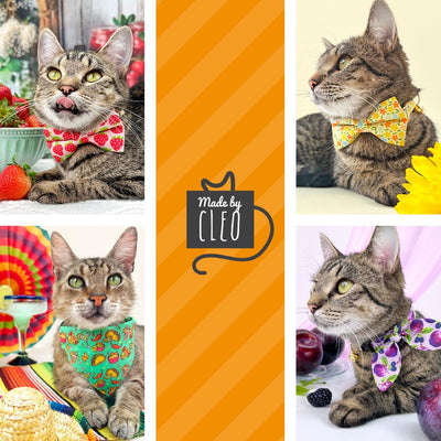 Bakery Cat Collar + Flower Set - "Bakery Bliss - Yellow" - Bread, Toast, Biscuit Cat Collar w/ Yellow Felt Flower (Detachable) / Cat, Kitten + Small Dog Sizes
