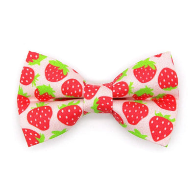 Strawberry Cat Bow Tie - "Strawberry Patch" - Red Berry Fruit Bow Tie for Cat Collar / Spring + Summer / Cat, Kitten + Small Dog Bowtie