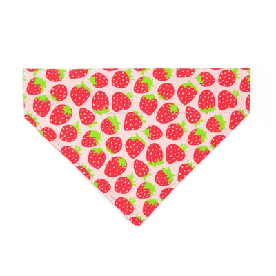 Strawberry Cat Bandana - "Strawberry Patch" - Red Berry Fruit Bandana for Cat + Small Dog / Spring + Summer / Slide-on Bandana