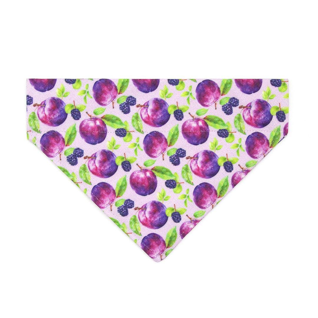 Plum Cat Bandana - "Wild Plum" - Purple Fruit Bandana for Cat + Small Dog / Lilac, Lavender, Floral / Slide-on Bandana