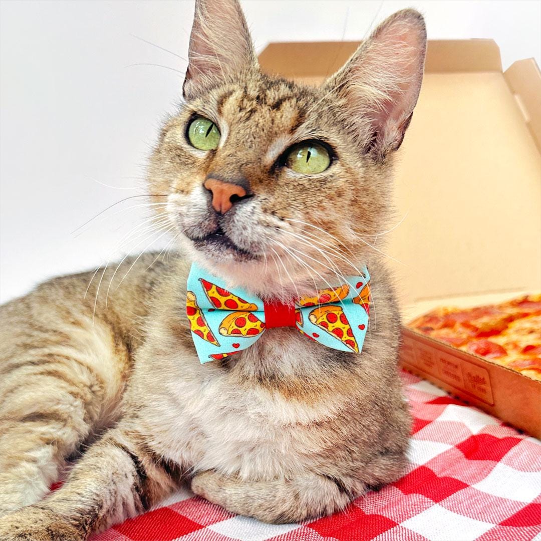 Pizza Bow Tie Cat Collar Set - "Pizza Party" - Blue Yellow & Red Fun Food Cat Collar with Bow Tie / Cat, Kitten, Small Dog Sizes