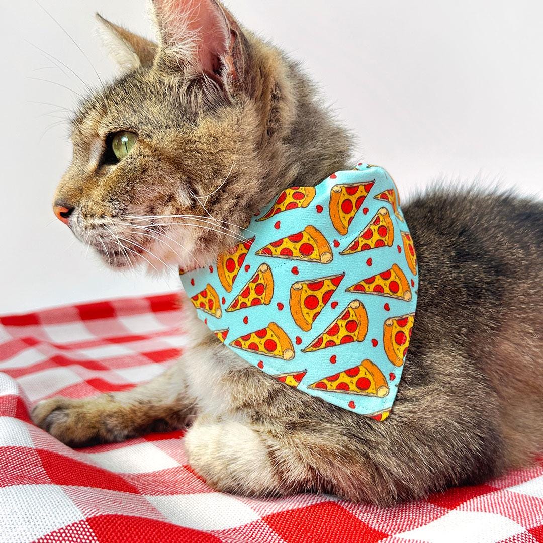 Pizza Cat Bandana - "Pizza Party" - Red, Yellow & Blue Bandana for Cat + Small Dog / Food, Fun, Funny / Slide-on Bandana