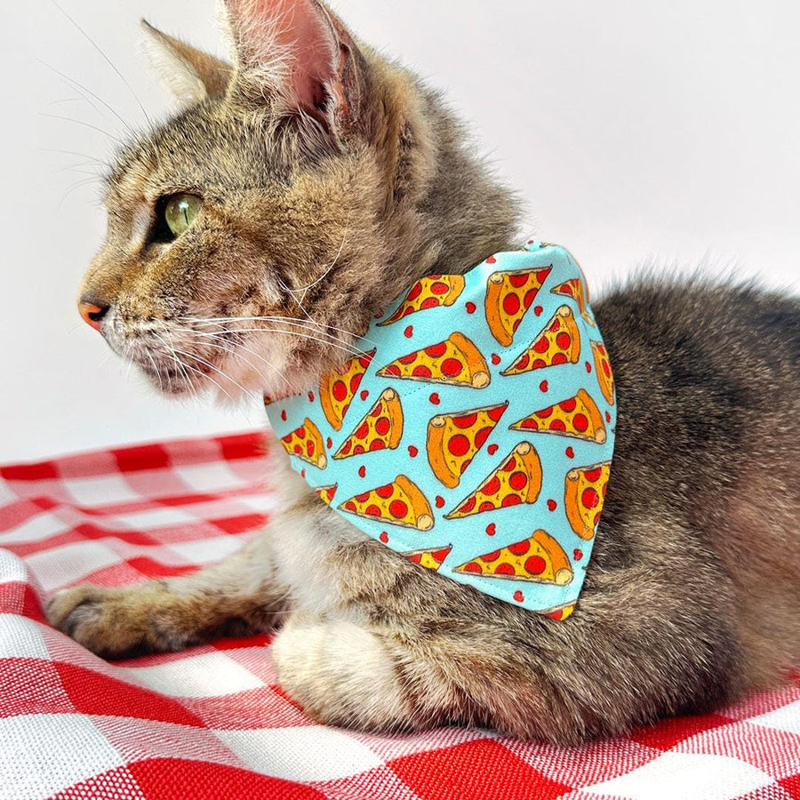Pizza Cat Bandana - "Pizza Party" - Red, Yellow & Blue Bandana for Cat + Small Dog / Food, Fun, Funny / Slide-on Bandana