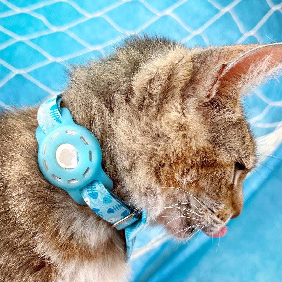 Fish Bow Tie Cat Collar Set - "Go Fish" - Ocean Blue Cat Collar with Bow Tie / Fishing, Fish Bone, Sardines, Fun, Sea / Cat, Kitten, Small Dog Sizes
