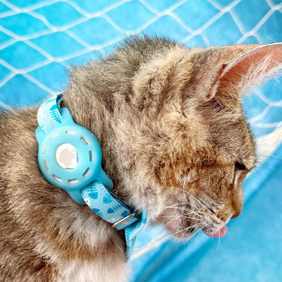 Fish Bow Tie Cat Collar Set - "Go Fish" - Ocean Blue Cat Collar with Bow Tie / Fishing, Fish Bone, Sardines, Fun, Sea / Cat, Kitten, Small Dog Sizes