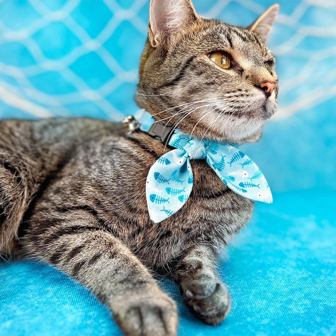 Fish Cat Collar - "Go Fish" - Ocean Blue Cat Collar / Breakaway Buckle or Non-Breakaway / Fishing, Sea, Seafood, Sardine / Cat, Kitten + Small Dog Sizes