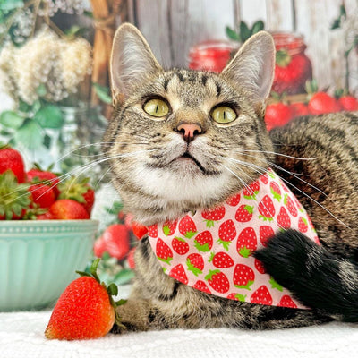 Strawberry Cat Bandana - "Strawberry Patch" - Red Berry Fruit Bandana for Cat + Small Dog / Spring + Summer / Slide-on Bandana