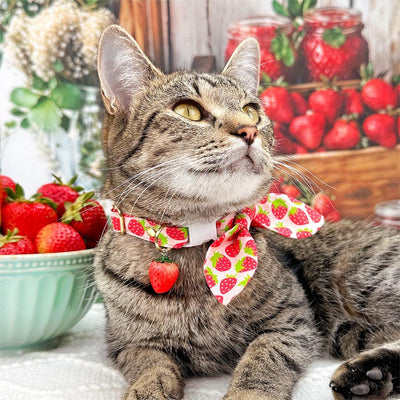 Strawberry Cat Collar - "Strawberry Patch" - Red Berry Fruit / Breakaway Buckle or Non-Breakaway / Spring + Summer / Cat, Kitten + Small Dog Sizes