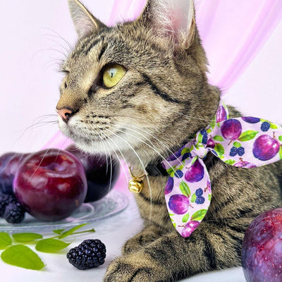 Cat Collar + Bunny Ear Bow Set - "Wild Plum" - Purple Blackberries & Plum Cat Collar w/ Matching Bunny Bow Tie / Fruit, Lilac, Lavender, Floral / Tie-On Scarf / Cat, Kitten + Small Dog Sizes
