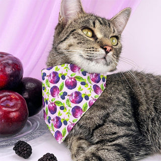 Plum Cat Bandana - "Wild Plum" - Purple Fruit Bandana for Cat + Small Dog / Lilac, Lavender, Floral / Slide-on Bandana