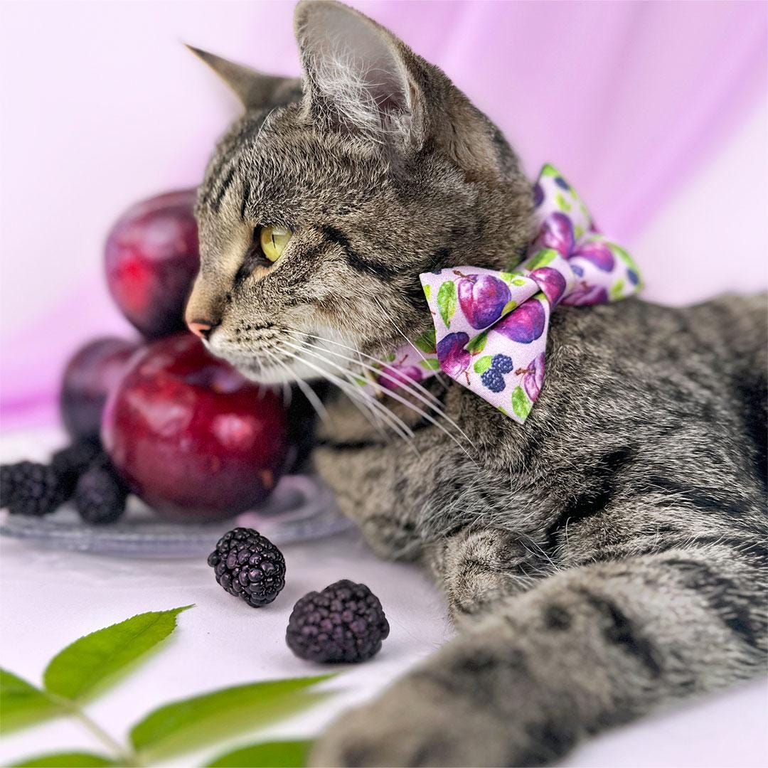 Plum Cat Bow Tie - "Wild Plum" - Purple Fruit Bow Tie for Cat Collar / Blackberries, Lilac, Lavender, Floral / Cat, Kitten + Small Dog Bowtie