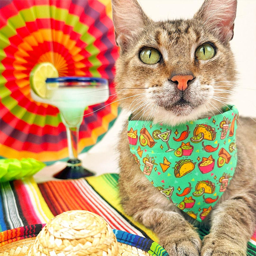 Taco Cat Bandana - "Taco Time - Green" - Mexican Food Bandana for Cat + Small Dog / Burrito, Margarita, Fiesta, Cinco de Mayo, Queso, Fun / Slide-on Bandana