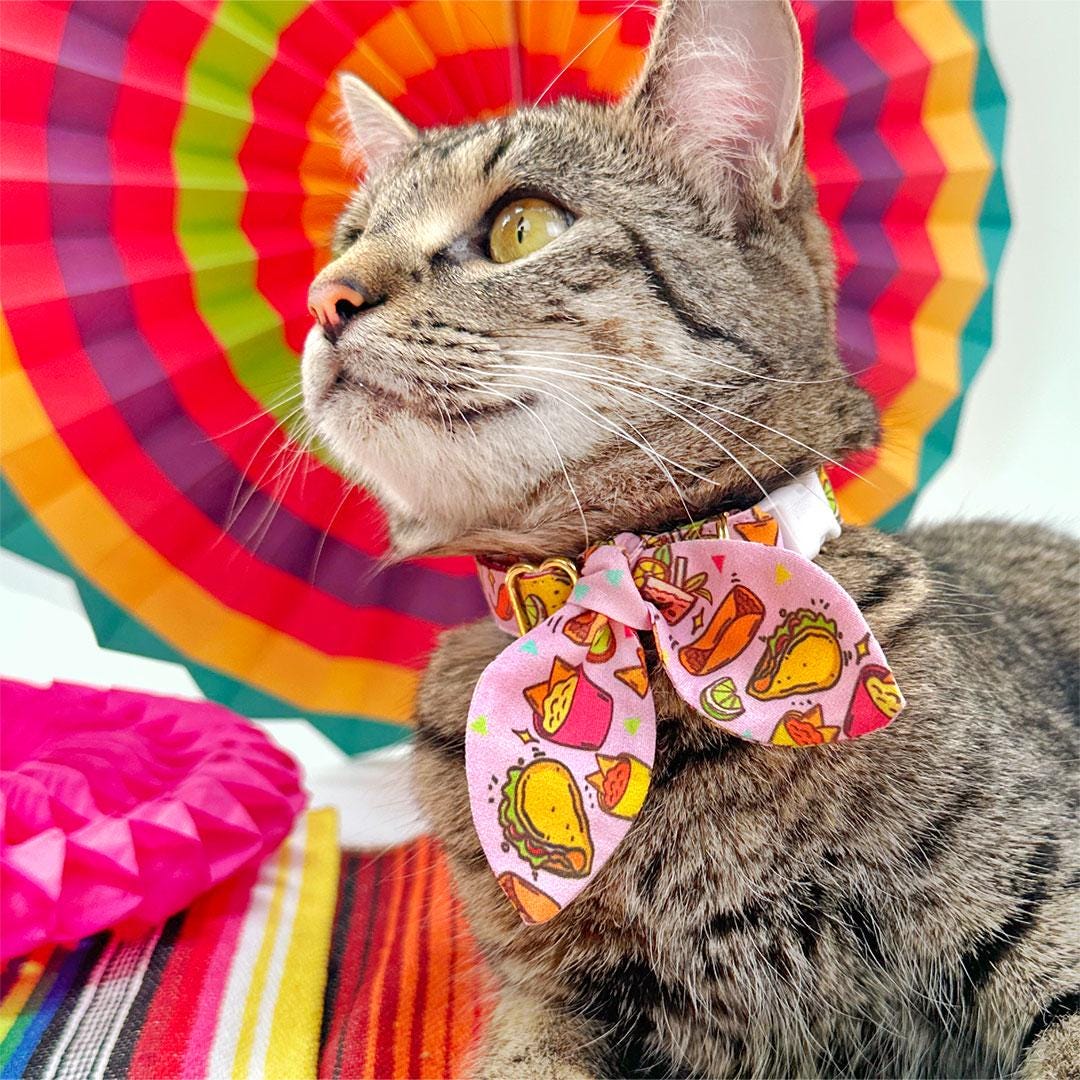 Taco Bow Tie Cat Collar Set - "Taco Time - Pink" - Mexican Food Cat Collar with Bow Tie / Burrito, Margarita, Queso, Chili Pepper, Fiesta Fun, Cindo de Mayo / Cat + Small Dog