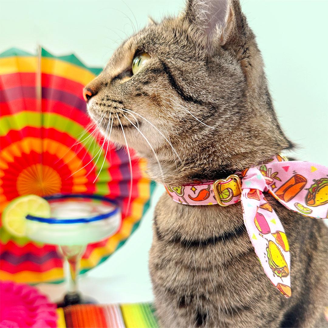 Taco Cat Collar + Flower Set - "Taco Time - Pink" - Mexican Food Cat Collar w/ Fuchsia Felt Flower (Detachable) / Cat, Kitten + Small Dog Sizes