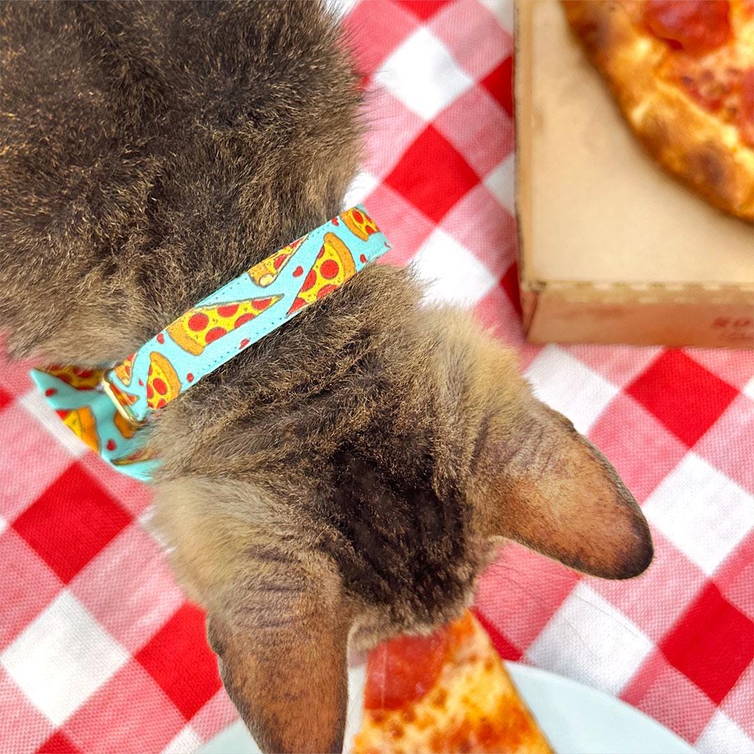 Cat Collar + Bunny Ear Bow Set - "Pizza Party" - Fun Food Pizza Cat Collar w/ Matching Bunny Bow Tie / Tie-On Scarf / Cat, Kitten + Small Dog Sizes