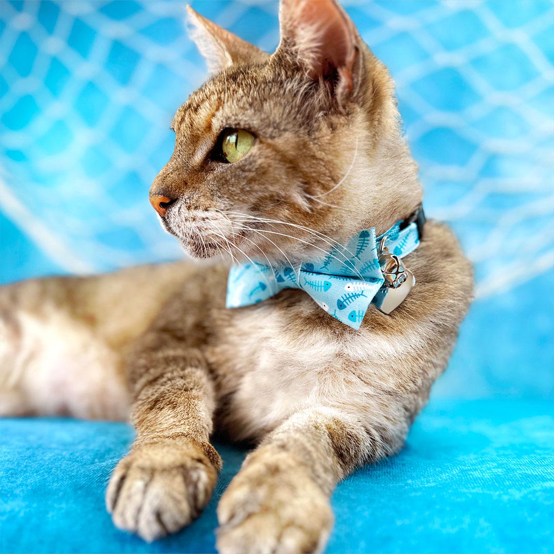 Fish Bow Tie Cat Collar Set - "Go Fish" - Ocean Blue Cat Collar with Bow Tie / Fishing, Fish Bone, Sardines, Fun, Sea / Cat, Kitten, Small Dog Sizes