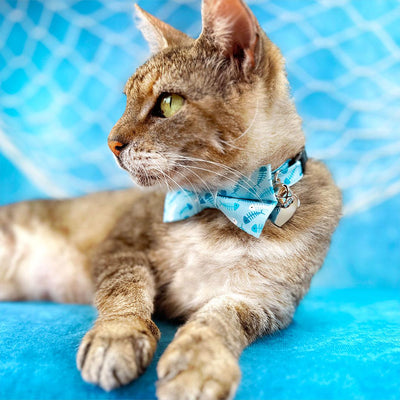 Fish Bow Tie Cat Collar Set - "Go Fish" - Ocean Blue Cat Collar with Bow Tie / Fishing, Fish Bone, Sardines, Fun, Sea / Cat, Kitten, Small Dog Sizes
