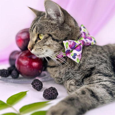 Plum Bow Tie Cat Collar Set - "Wild Plum" - Purple Fruit Cat Collar with Bow Tie / Blackberries, Floral, Lilac, Lavender / Cat, Kitten, Small Dog