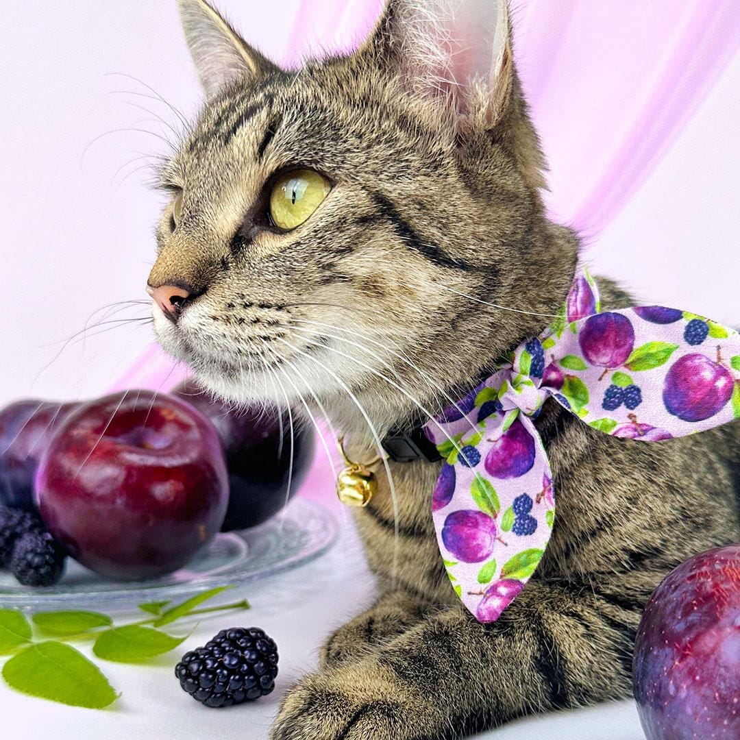 Plum Cat Collar - "Wild Plum" - Purple Fruit Cat Collar / Breakaway Buckle or Non-Breakaway / Blackberries, Lilac, Lavender, Floral / Cat, Kitten + Small Dog Sizes