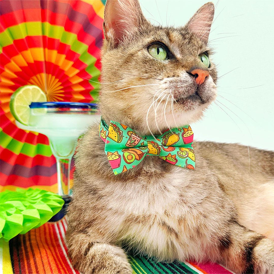 Taco Bow Tie Cat Collar Set - "Taco Time - Green" - Mexican Food Cat Collar with Bow Tie / Burrito, Margarita, Queso, Chili Pepper, Fiesta Fun, Cindo de Mayo / Cat + Small Dog