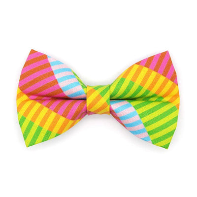 Rainbow Cat Bow Tie - "Technicolor Dream" - Fun Modern Stripe Bow Tie for Cat Collar / Summer, Arty, 80s / Cat, Kitten + Small Dog Bowtie
