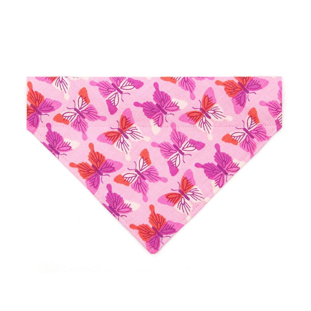 Butterfly Cat Bandana - "Butterfly Garden" - Pink Bandana for Cat + Small Dog / Butterflies, Spring, Summer / Slide-on Bandana / Over-the-Collar