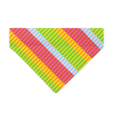 Stripe Cat Bandana - "Technicolor Dream" - Fun Modern Rainbow Bandana for Cat + Small Dog / Slide-on Bandana / Over-the-Collar