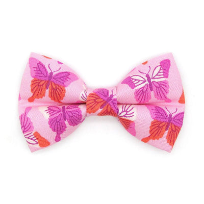 Butterfly Cat Bow Tie - "Butterfly Garden" - Pink Bow Tie for Cat Collar / Butterflies, Spring, Summer / Cat, Kitten + Small Dog Bowtie