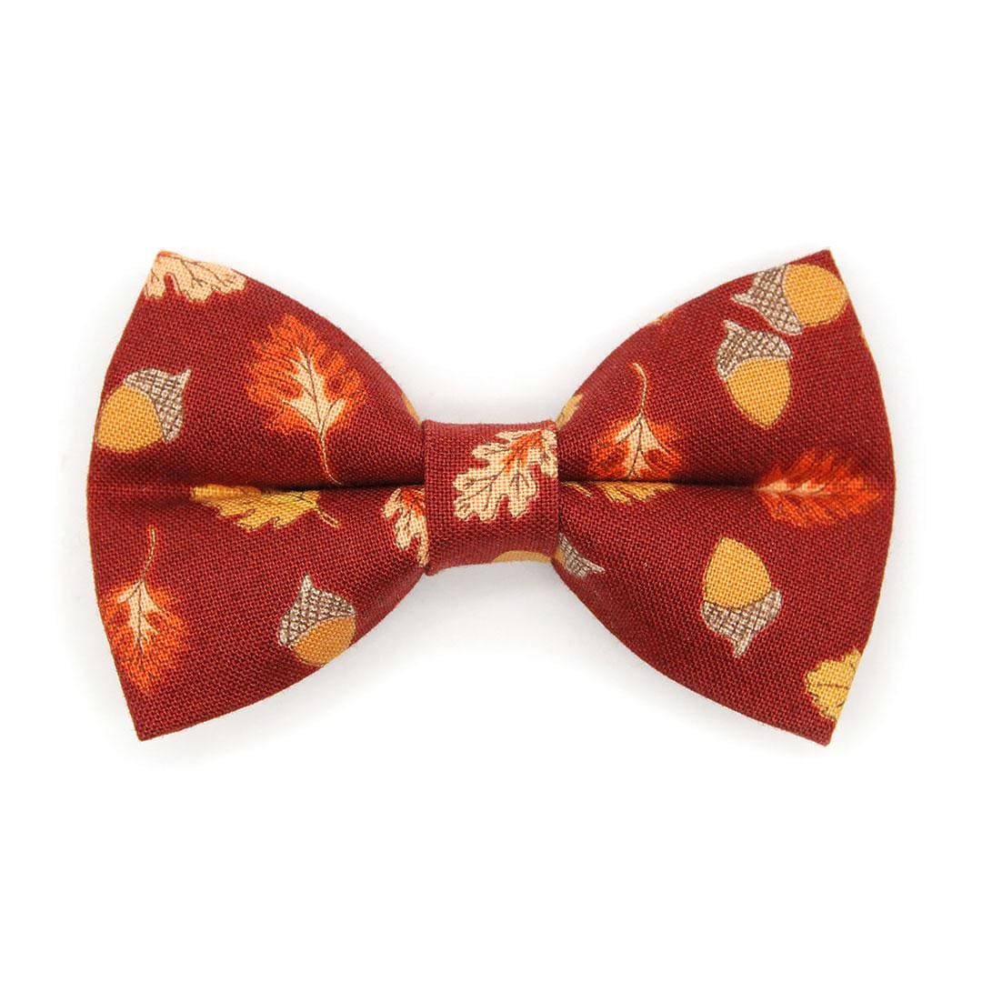 Burgundy Cat Bow Tie - "Acorn Hill" - Fall Leaves & Acorn Bow Tie for Cat Collar / Autumn + Thanksgiving / Cat, Kitten + Small Dog Bowtie