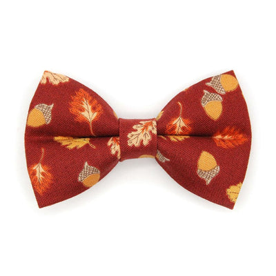 Burgundy Cat Bow Tie - "Acorn Hill" - Fall Leaves & Acorn Bow Tie for Cat Collar / Autumn + Thanksgiving / Cat, Kitten + Small Dog Bowtie