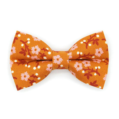 Floral Cat Bow Tie - "Ginger Blossom" - Fall Floral Cinnamon Orange & Pink Bow Tie for Cat Collar / Autumn, Spring / Cat, Kitten + Small Dog Bowtie