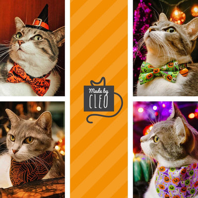Spiderweb Cat Bandana - "Spellbound" - Orange & Black Halloween Bandana for Cat + Small Dog / Spider / Slide-on Bandana / Over-the-Collar