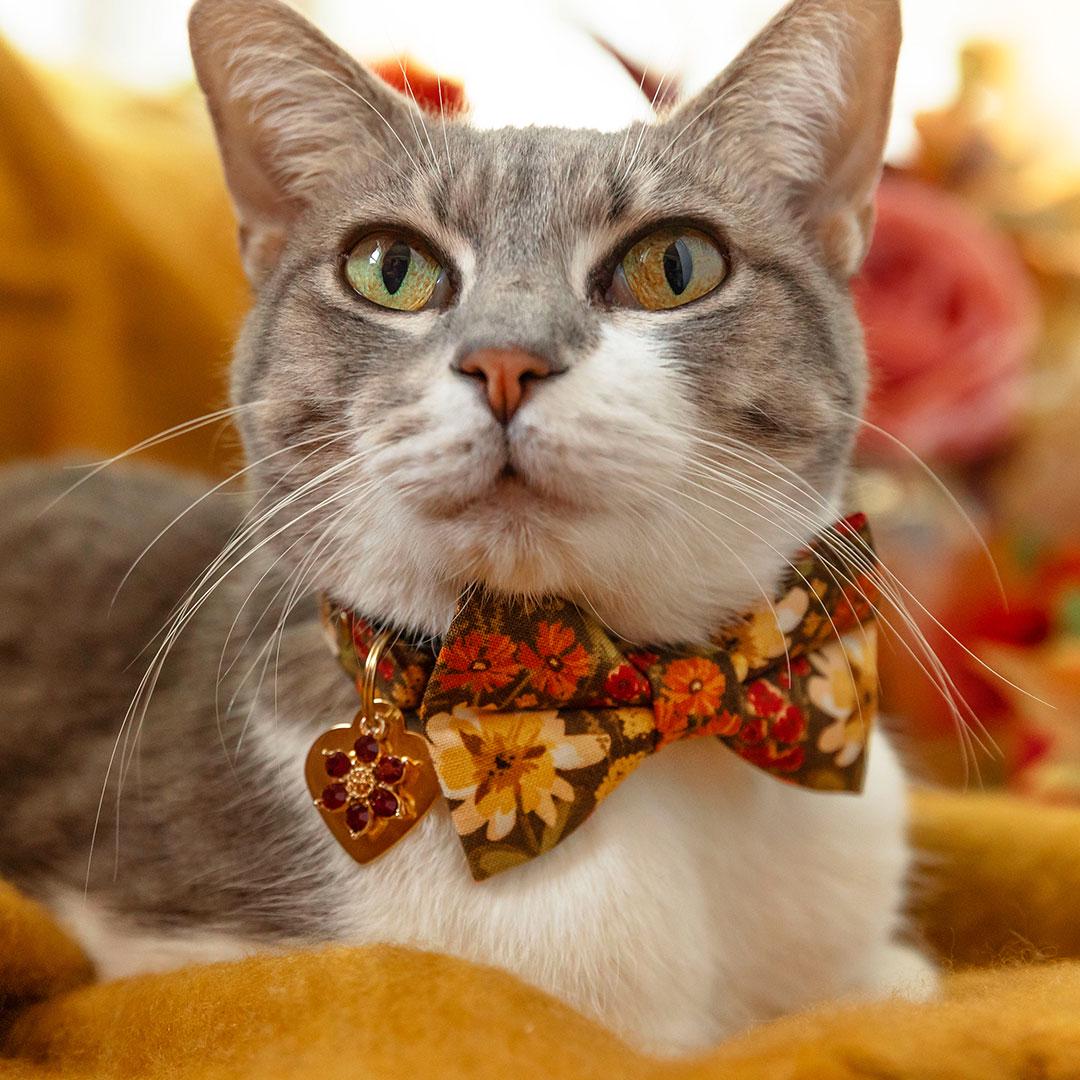 Bow Tie Cat Collar Set - "Autumn Fields" - Country Floral Cat Collar with Bow Tie / Fall, Wildflower, Farmhouse / Cat, Kitten, Small Dog Sizes